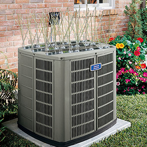 Bird Spikes for Pigeons Small Birds,Stainless Steel Bird Spikes -No More Bird Nests & Poop-Disassembled Spikes 10 Strips