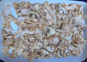 China Salty Steamed King Oyster Canned Mushroom 150g wholesale