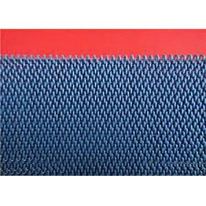 China Heat Resistance Large Loop Polyester Mesh Belt For Food Industry wholesale