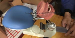 Dental teaching Manikin head simulator / Phantom head pratical training