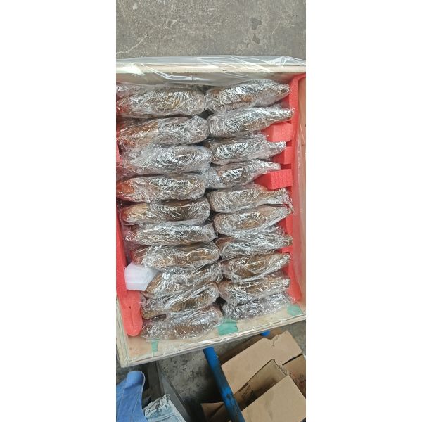 backstopping clutch AV100 GV100 Alternative STIEBER one way freewheel clutch apply in Grain conveyors